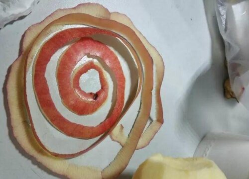 苹果皮可以做肥料吗