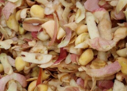 苹果皮可以做肥料吗