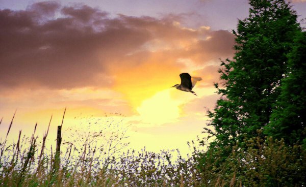 人活着到底是为了什么