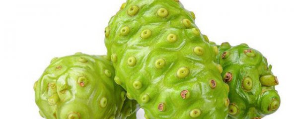 新鲜诺尼果的正确吃法