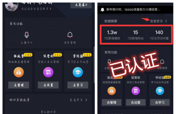 抖音蓝v是什么意思