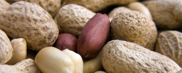 每天吃几颗生花生有什么好处