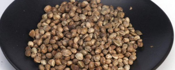 火麻仁可以直接吃吗