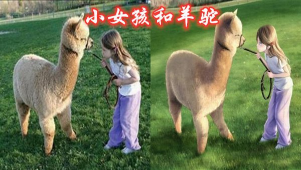 动漫二次元和三次元有什么区别