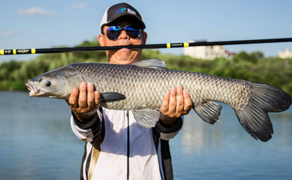 青鱼石有什么作用