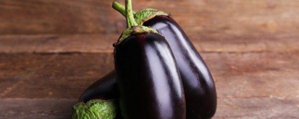 茄瓜怎么不流失水分