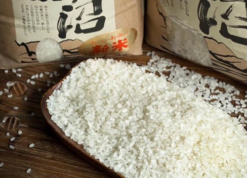 大米里防止米虫最简单方法