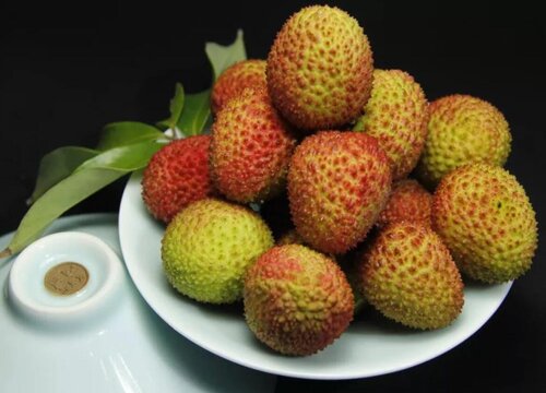 妃子笑什么时候成熟