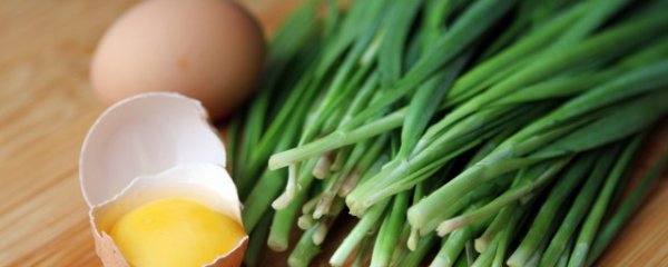 韭菜饺子馅放什么调料