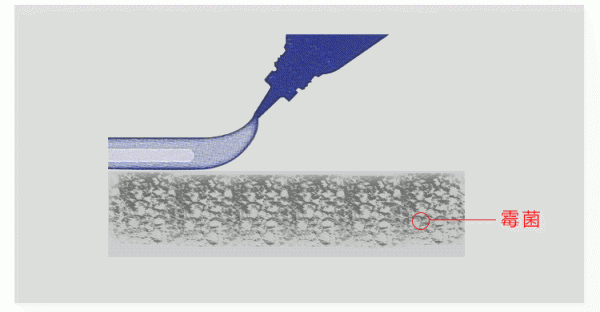 马桶底部污垢怎么彻底清除干净