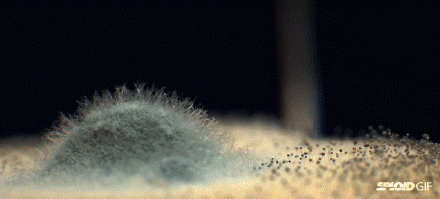 马桶底部污垢怎么彻底清除干净