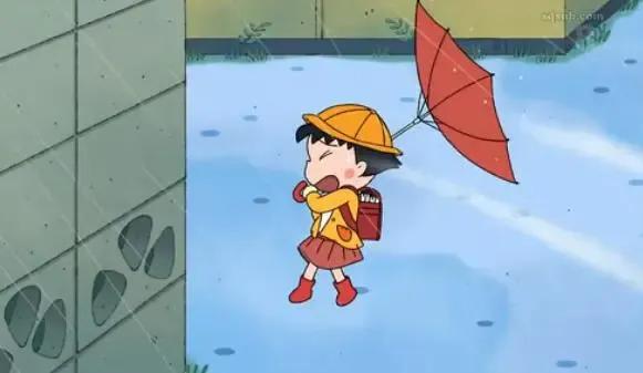 强风是风力几级的风