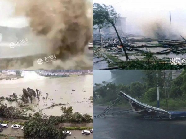 强风是风力几级的风