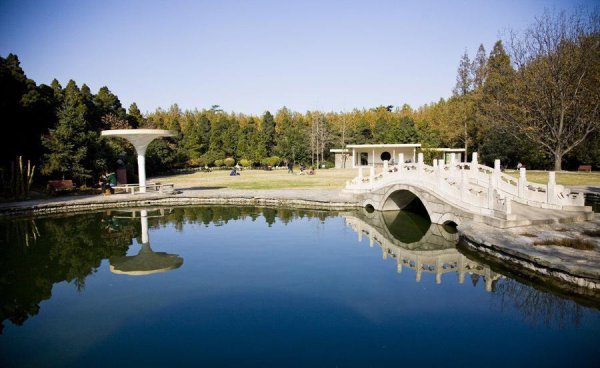 西安交通大学是211吗