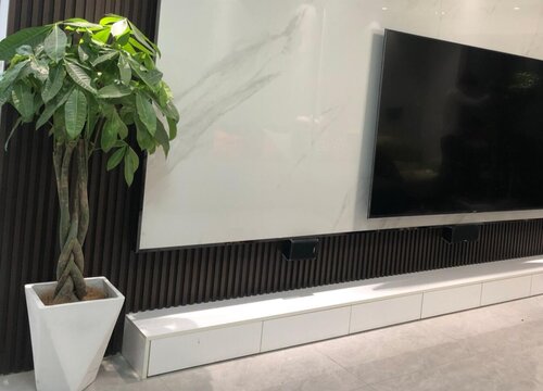 发财树一杆的好还是三杆的好