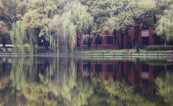 浙江大学怎么样