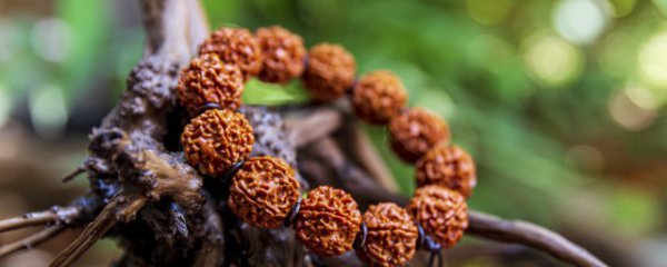 佩戴菩提子有什么好处