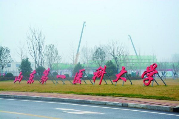 山东专升本最好的大学