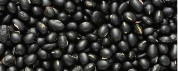 醋泡黑豆有什么功效