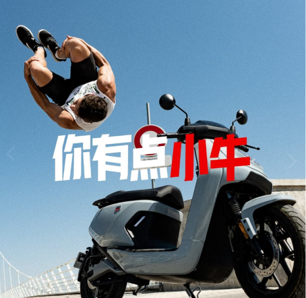 电动自行车品牌排行