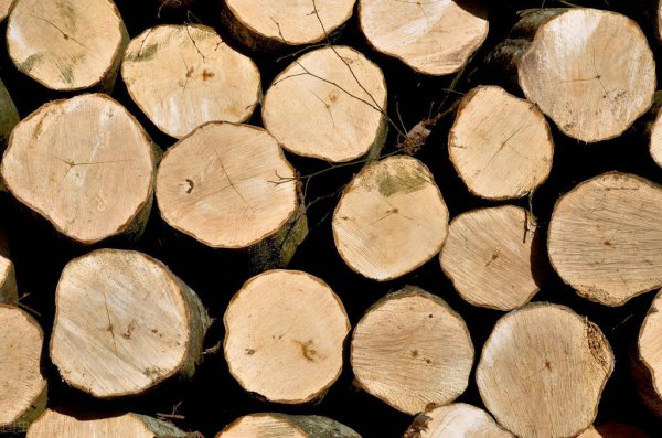 兰精莫代尔是什么面料