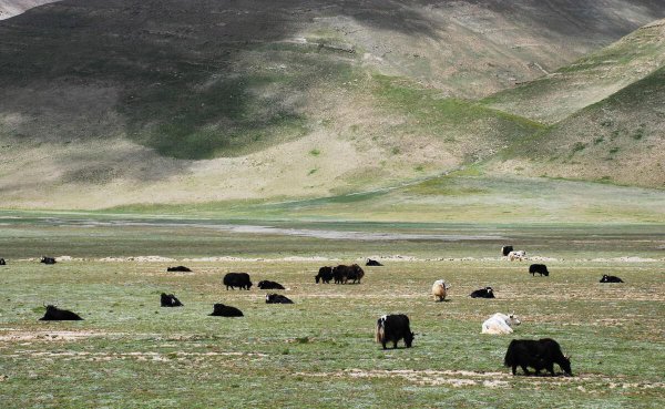 世界最大的峡谷是哪里