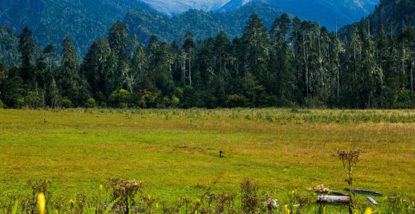 世界最大的峡谷是哪里