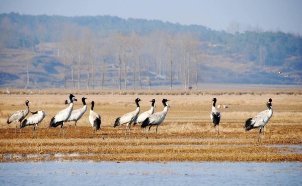 世界最大的峡谷是哪里