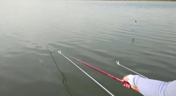 钓鱼什么时候提竿最合适