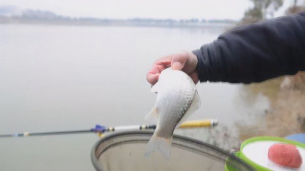 钓鱼什么时候提竿最合适