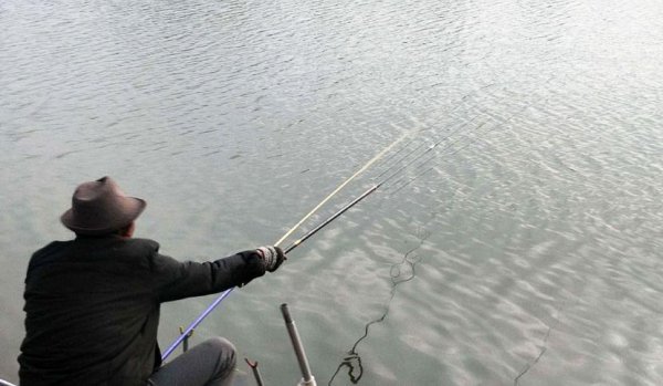 钓鱼什么时候提竿最合适