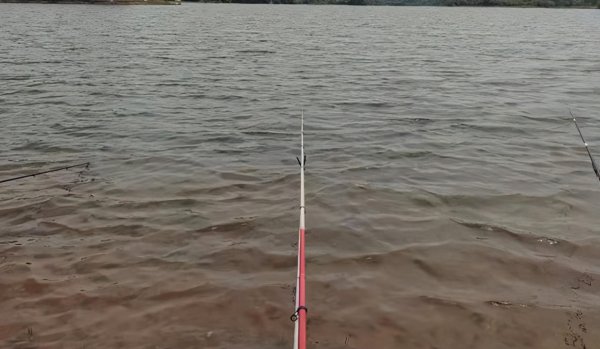 钓鱼什么时候提竿最合适