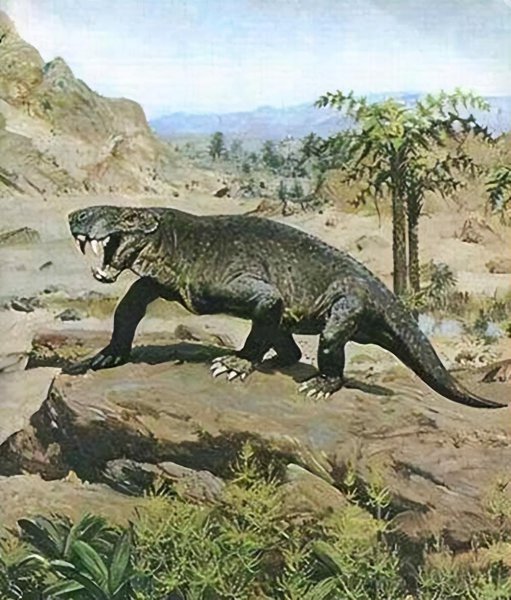 十大史前巨型动物图片