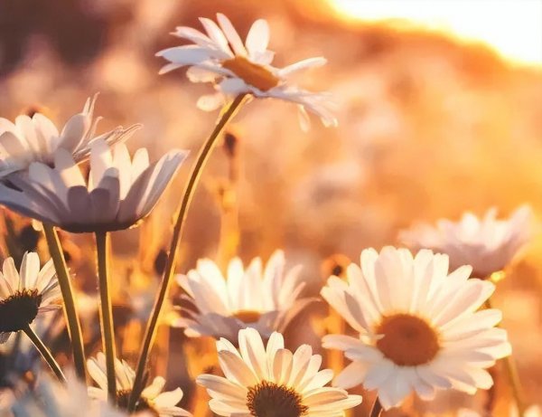 老天给你磨难是在救你吗