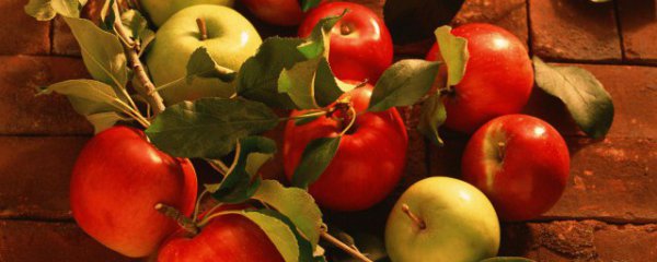 减肥晚上可以吃苹果吗