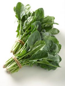 菠菜不能和什么一起吃