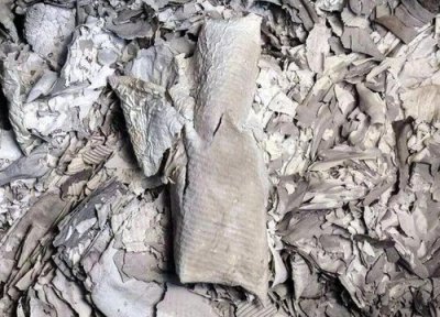 纸烧成灰做肥料 纸烧成灰可以做肥料吗