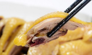 十大名菜三黄鸡是哪里的 三黄鸡的简介