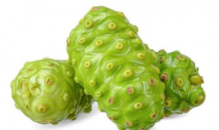 新鲜诺尼果的正确吃法 诺丽果怎么吃