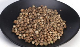 火麻仁可以直接吃吗 火麻仁可以生吃吗