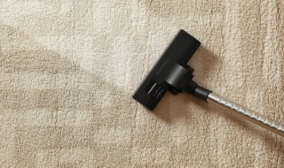 家里地毯怎么清洁最干净 家里地毯的清洁技巧