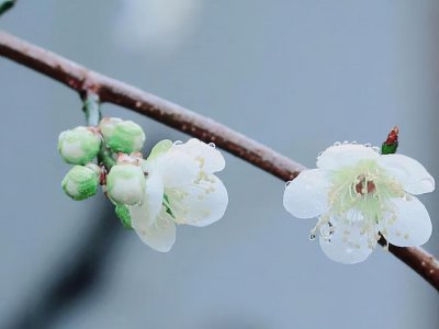 摩羯是什么象星座嘛 一个做人很有格局的土象星座