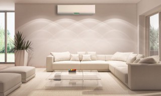 夏季客厅适合养什么花草 夏季客厅适合养哪些花草