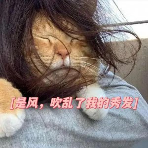 强风是风力几级的风 0级至17级强风是什么意思