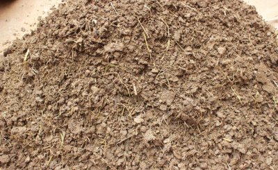 牛粪的用途有哪些 农村的牛粪的用途多达十多种