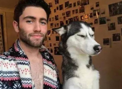 第一次养狗适合养什么狗 最适合新手养的8种狗狗品种