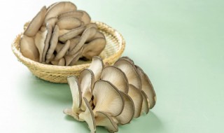 平菇炒肉怎么炒好吃 鲜嫩入味平菇炒肉家常做法