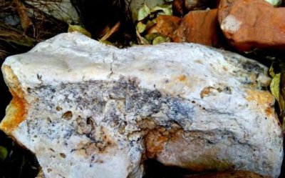 糍粑是哪里的特产 糍粑是哪个地方开始传扬出来的美食