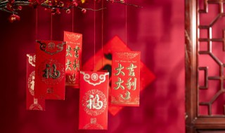 过年摆的红色花束叫什么 过年摆的红色花束介绍