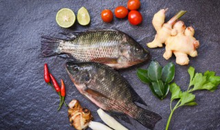 如何挑选活鱼 挑选活鱼的方法